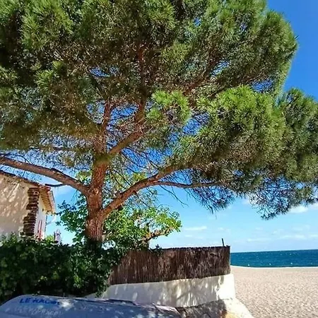 Pavillon Renove A 500m De La Avec Terrasse Et Parking Prive A - Fr-1-776-53